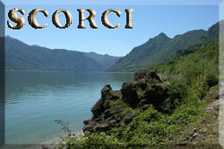 Sorci