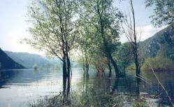 Lago pieno