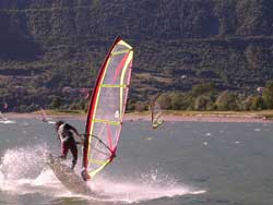 Windsurf