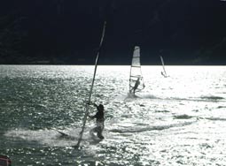 Windsurf