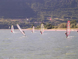 Windsurf