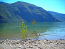 livelli 31/08/06