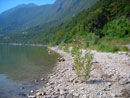 livelli 04/09/06