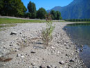 livelli 05/09/06
